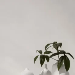 Vase -CEOLA- Farbe White Höhe 25 cm